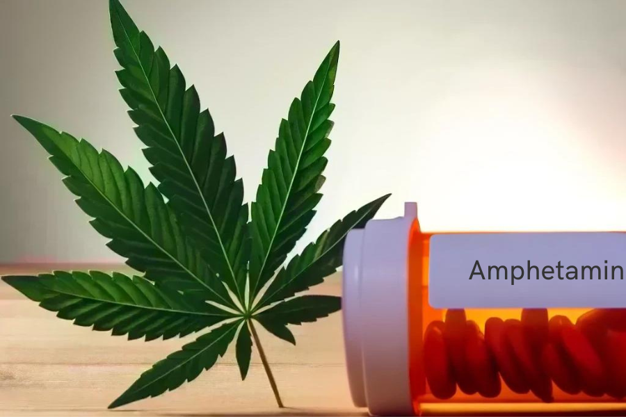 Cannabis et amphétamine (par exemple Adderall, Adderall XR)