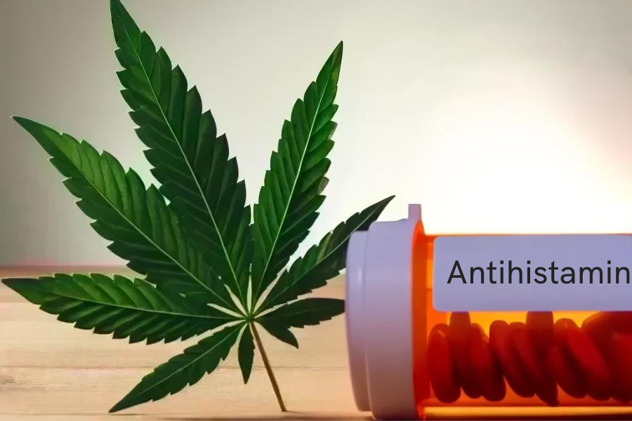 Cannabis et antihistaminiques (par exemple Claritin, Lorano, Zyrtec, Cetirizin)