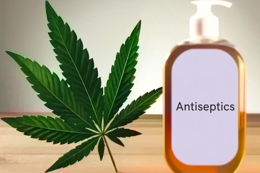 Cannabis et antiseptiques (par exemple Hibiclens, Peride, Chlorhexamed, Corsodyl)