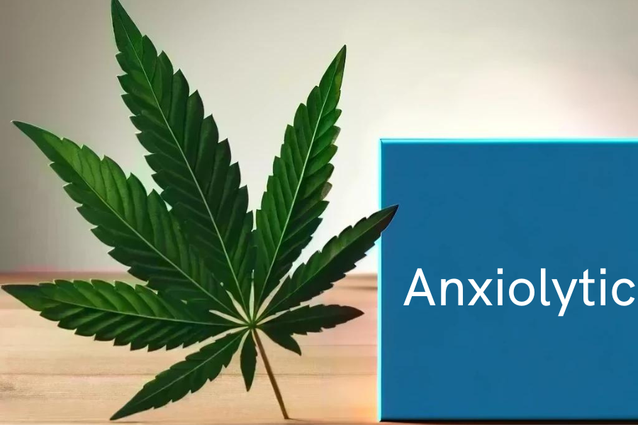 Cannabis et anxiolytiques (par exemple diazépam, lorazépam)