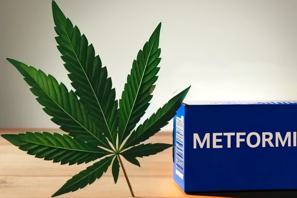 Cannabis et metformine (par exemple Glucophage, Metformin-ratiopharm, Metformax)