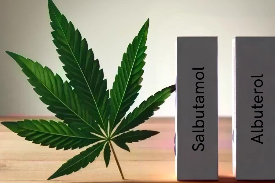 Cannabis et salbutamol/albutérol (par exemple Ventolin, ProAir, Ventolin, SalbuHEXAL, Sultanol)