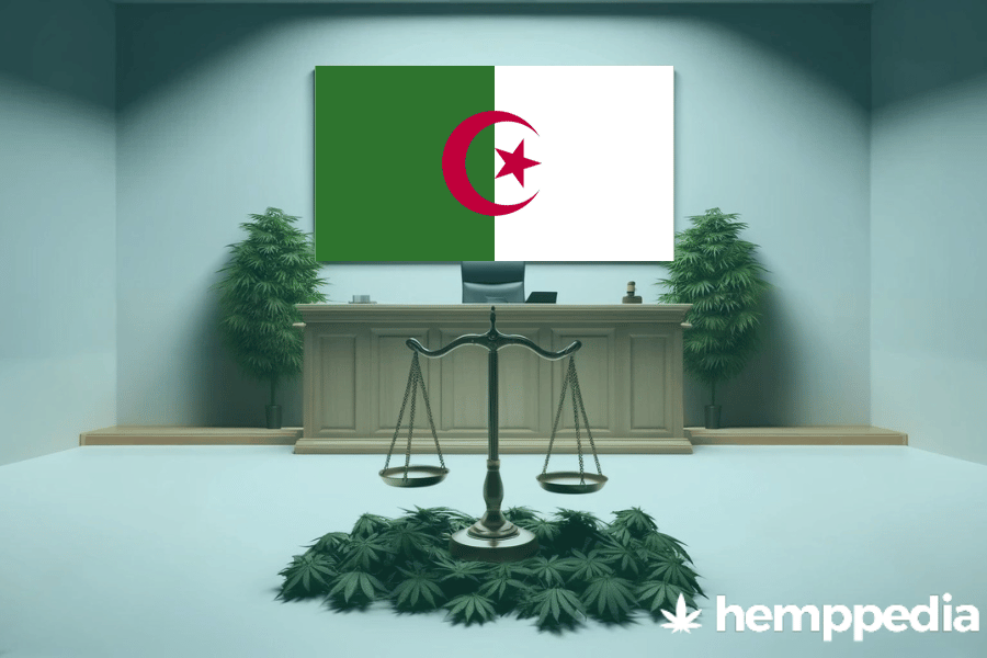 Le cannabis est-il légal en Algérie ? – Mise à jour 2024