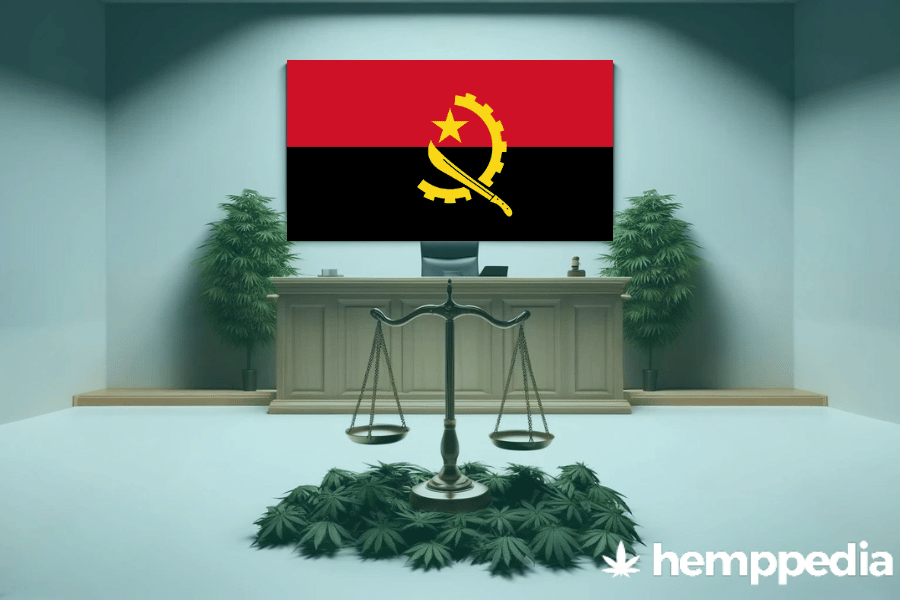 Le cannabis est-il légal en Angola ? – Mise à jour 2024