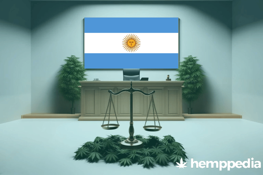 Le cannabis est-il légal en Argentine ? – Mise à jour 2024