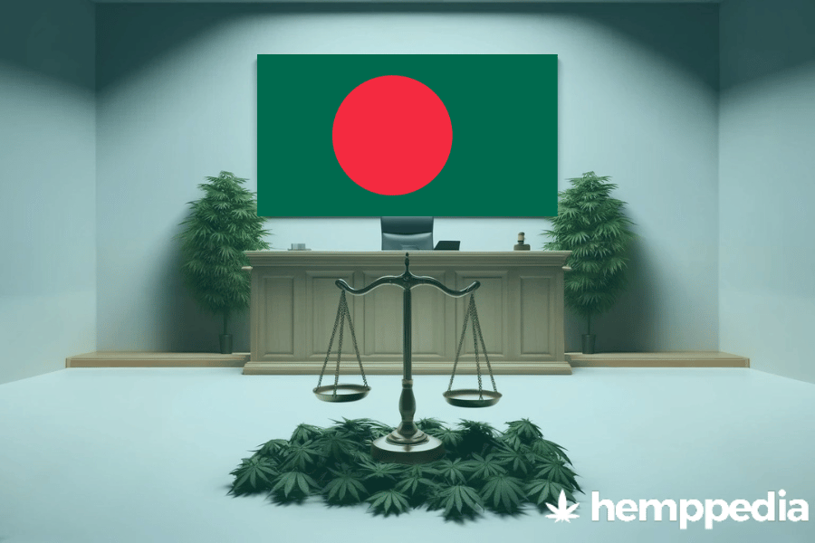 Le cannabis est-il légal au Bangladesh ? – Mise à jour 2024