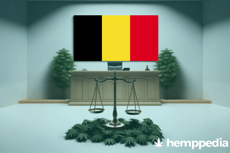 Le cannabis est-il légal en Belgique ? – Mise à jour 2024