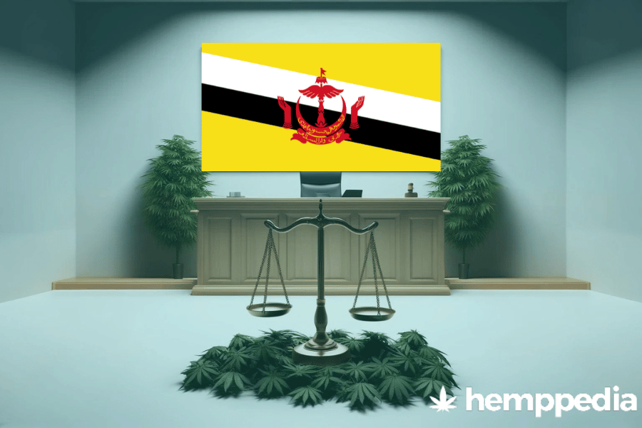 Le cannabis est-il légal au Brunei ? – Mise à jour 2024