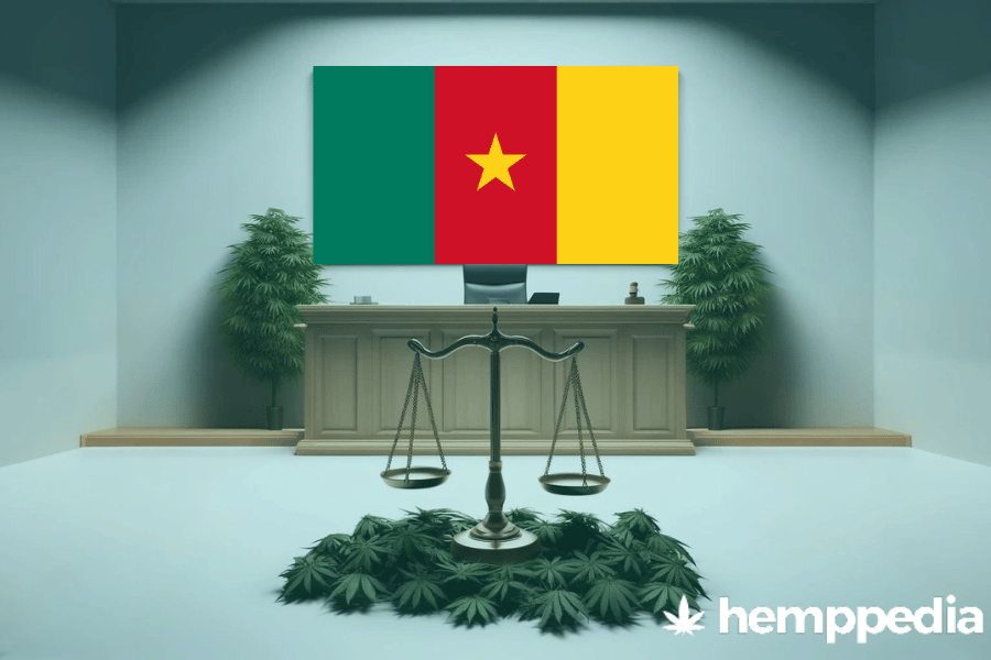 Le cannabis est-il légal au Cameroun ? – Mise à jour 2024