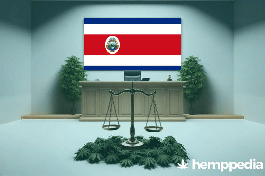 Le cannabis est-il légal au Costa Rica ? – Mise à jour 2024