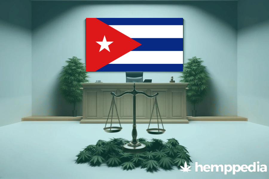 Le cannabis est-il légal à Cuba ? – Mise à jour 2024