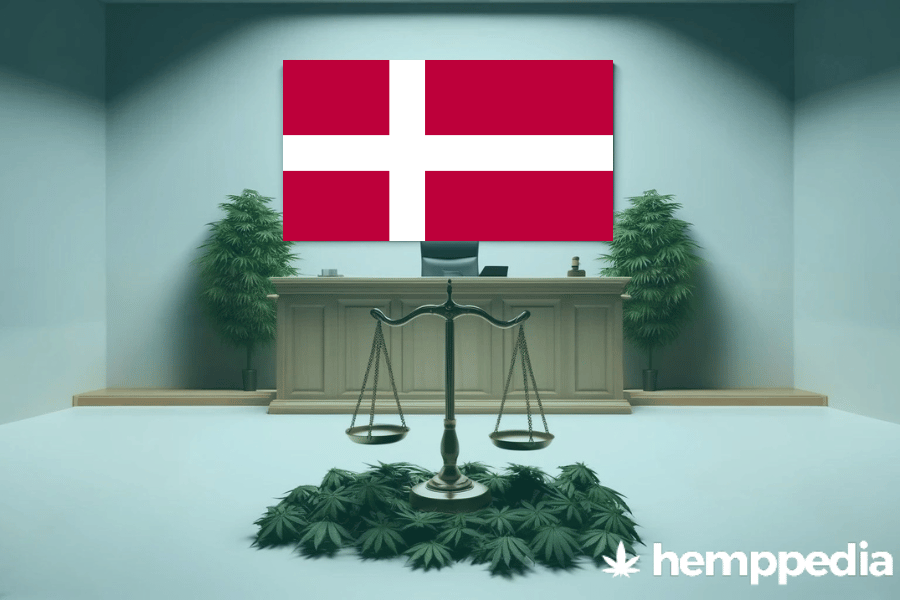 Le cannabis est-il légal au Danemark ? – Mise à jour 2024