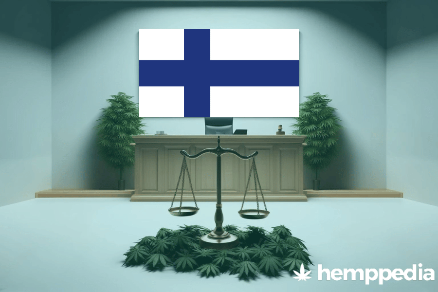 Le cannabis est-il légal en Finlande ? – Mise à jour 2024