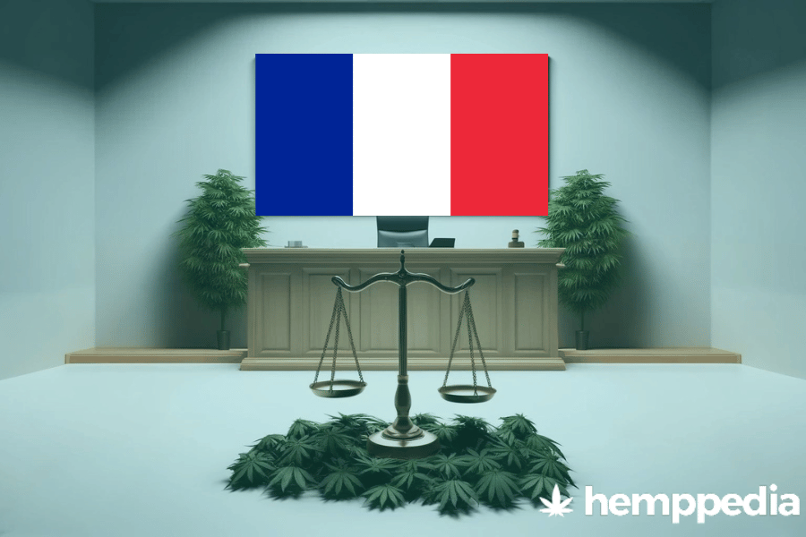 Le cannabis est-il légal en France ? – Mise à jour 2024