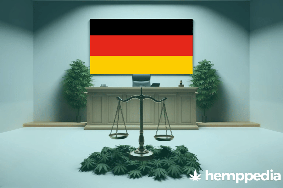 Le cannabis est-il légal en Allemagne ? – Mise à jour 2024