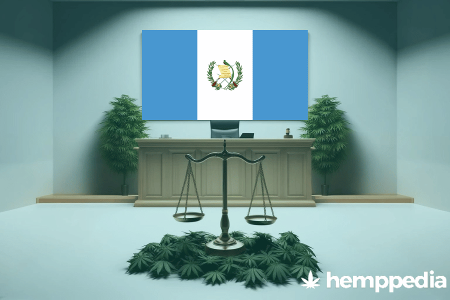 Le cannabis est-il légal au Guatemala ? – Mise à jour 2024