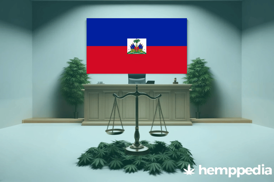 Le cannabis est-il légal en Haïti ? – Mise à jour 2024