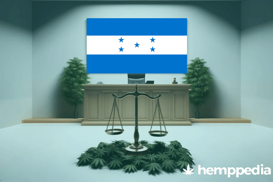 Le cannabis est-il légal au Honduras ? – Mise à jour 2024