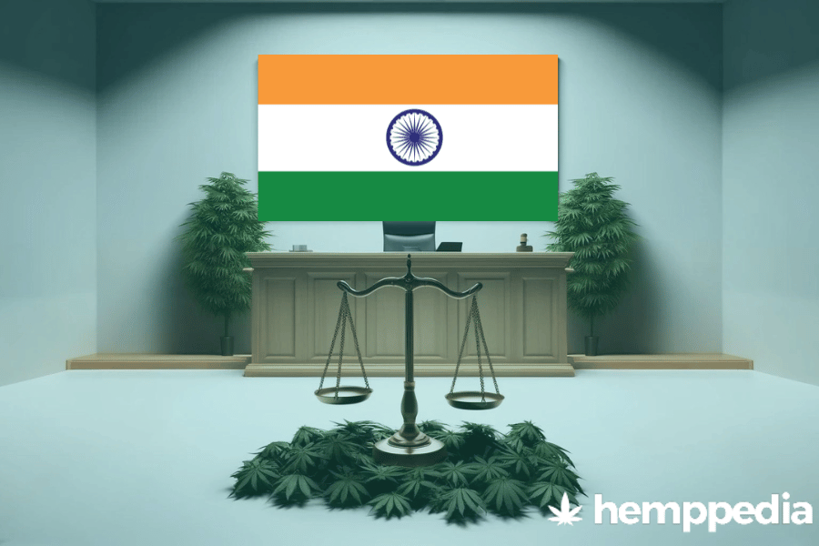 Le cannabis est-il légal en Inde ? – Mise à jour 2024