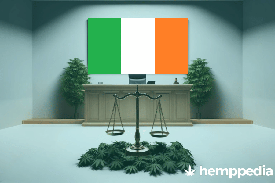 Le cannabis est-il légal en Irlande ? – Mise à jour 2024