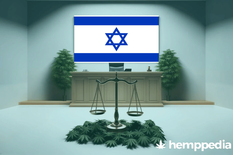 Le cannabis est-il légal en Israël ? – Mise à jour 2024