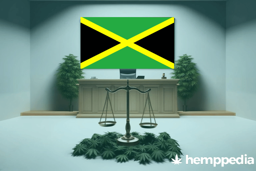 Le cannabis est-il légal en Jamaïque ? – Mise à jour 2024