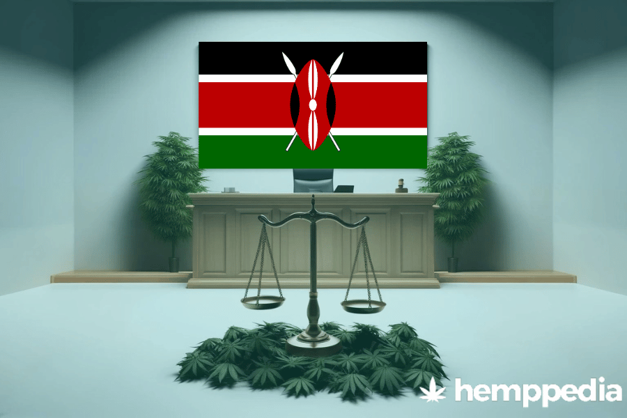 Le cannabis est-il légal au Kenya ? – Mise à jour 2024