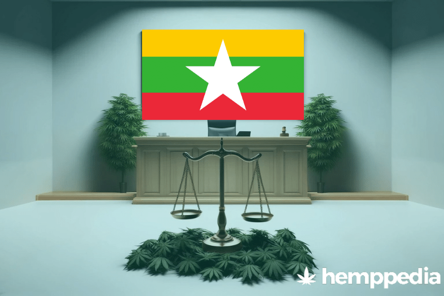 Le cannabis est-il légal au Myanmar ? – Mise à jour 2024