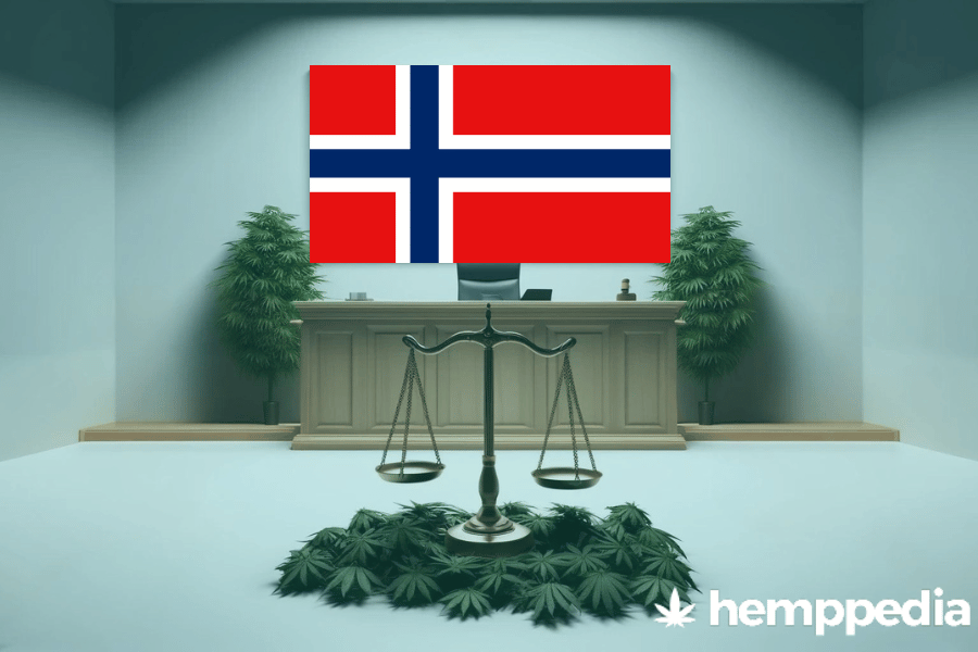 Le cannabis est-il légal en Norvège ? – Mise à jour 2024