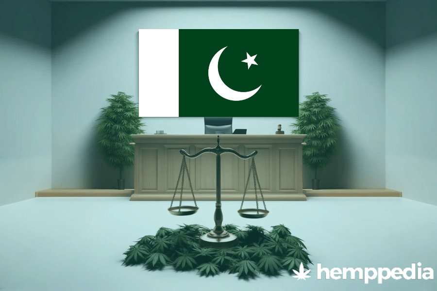 Le cannabis est-il légal au Pakistan ? – Mise à jour 2024