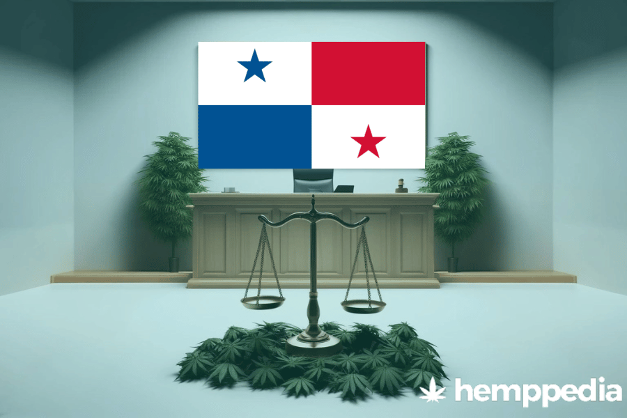 Le cannabis est-il légal au Panama ? – Mise à jour 2024