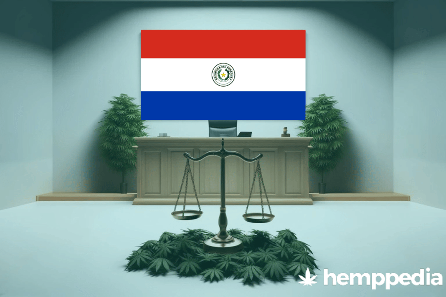 Le cannabis est-il légal au Paraguay ? – Mise à jour 2024