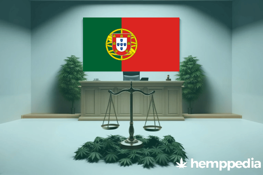 Le cannabis est-il légal au Portugal ? – Mise à jour 2024