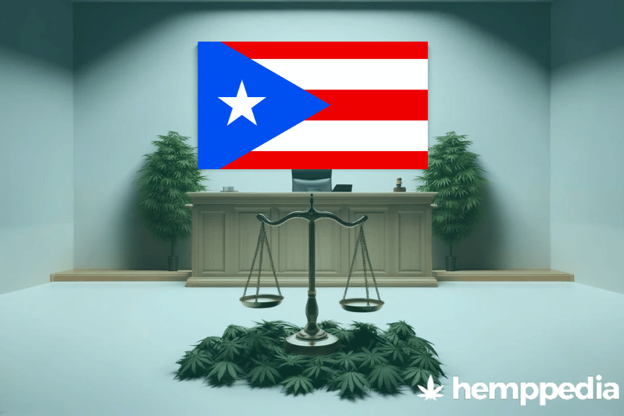 Le cannabis est-il légal à Porto Rico ? – Mise à jour 2024