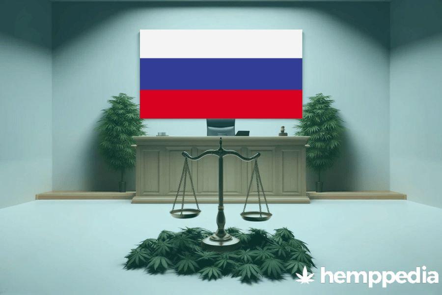 Le cannabis est-il légal en Russie ? – Mise à jour 2024