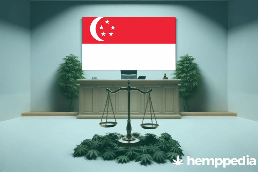 Le cannabis est-il légal à Singapour ? – Mise à jour 2024