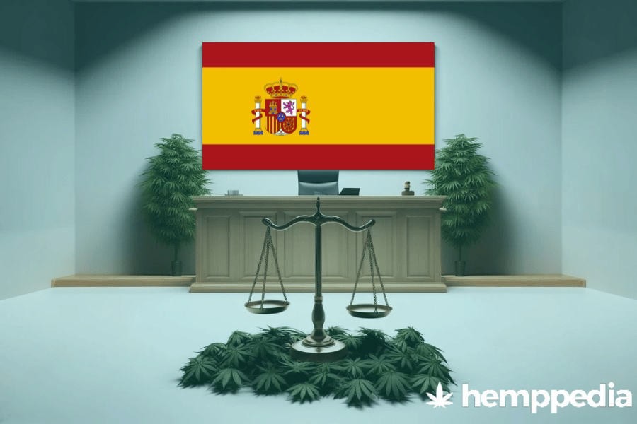 Le cannabis est-il légal en Espagne ? – Mise à jour 2024