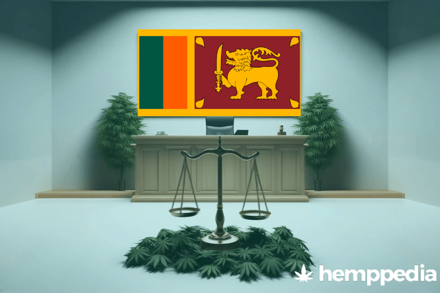 Le cannabis est-il légal au Sri Lanka ? – Mise à jour 2024