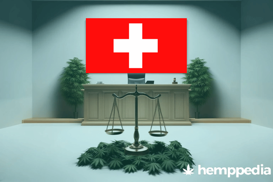 Le cannabis est-il légal en Suisse ? – Mise à jour 2024