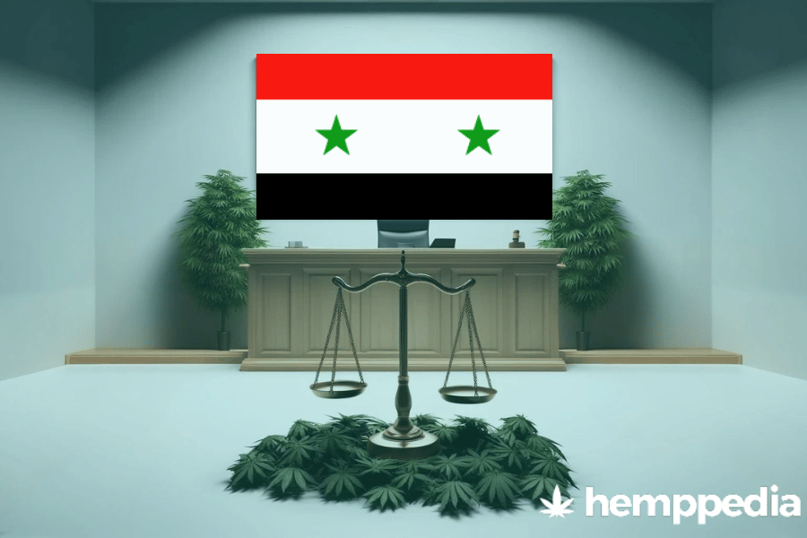 Le cannabis est-il légal en Syrie ? – Mise à jour 2024