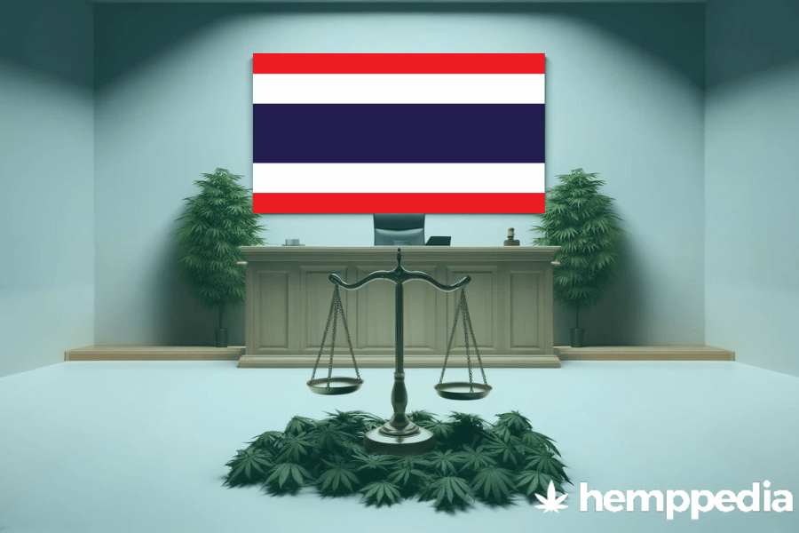 Le cannabis est-il légal en Thaïlande ? – Mise à jour 2024