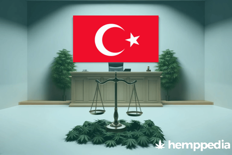 Le cannabis est-il légal en Turquie ? – Mise à jour 2024