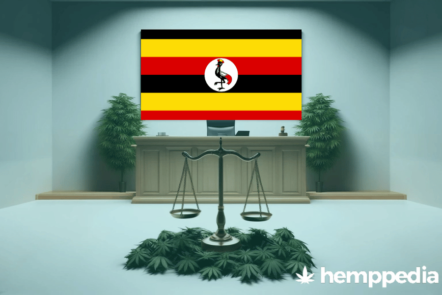Le cannabis est-il légal en Ouganda ? – Mise à jour 2024
