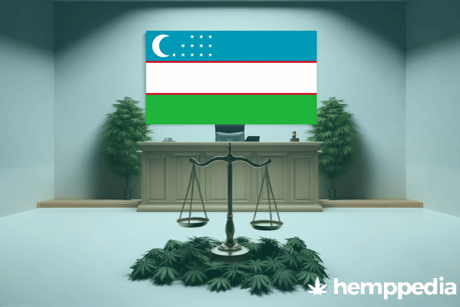 Le cannabis est-il légal en Ouzbékistan ? – Mise à jour 2024