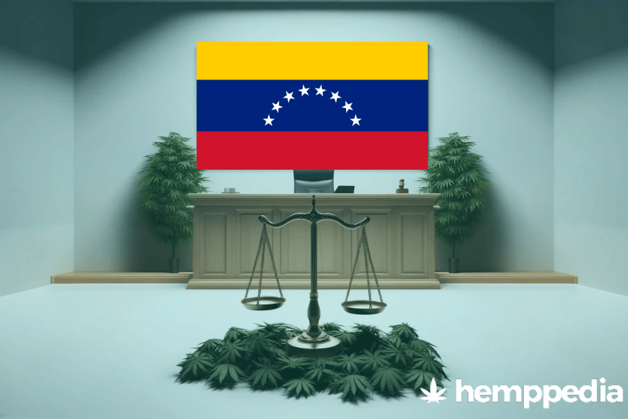 Le cannabis est-il légal au Venezuela ? – Mise à jour 2024