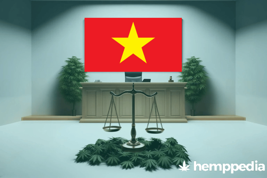 Le cannabis est-il légal au Vietnam ? – Mise à jour 2024