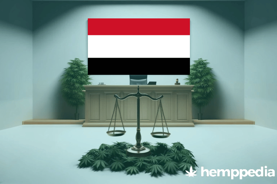 Le cannabis est-il légal au Yémen ? – Mise à jour 2024