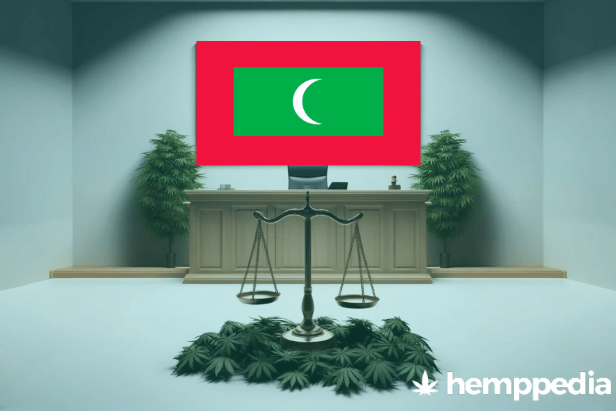 Le cannabis est-il légal aux Maldives ? – Mise à jour 2024