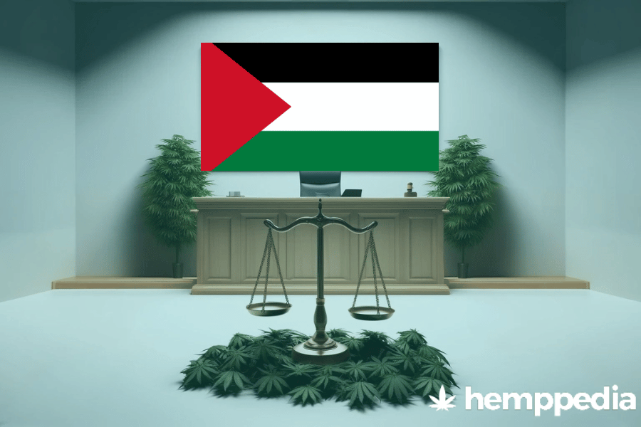 Le cannabis est-il légal dans l’État de Palestine ? – Mise à jour 2024